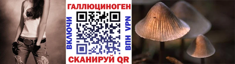 Псилоцибиновые грибы мицелий  Тихвин 